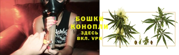 трава Белокуриха