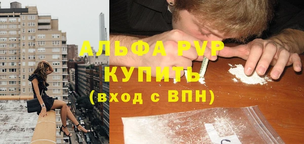 трава Белокуриха
