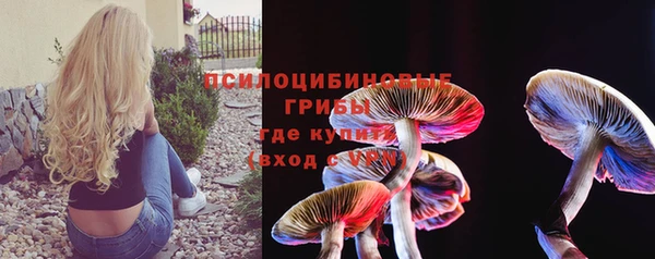 трава Белокуриха