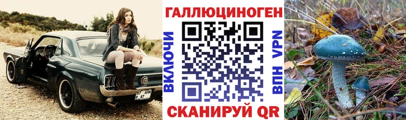 наркота  гидра ссылка  Галлюциногенные грибы Magic Shrooms  Заволжье 