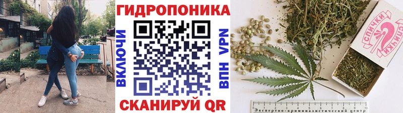 закладка  Заволжье  МАРИХУАНА Ganja 